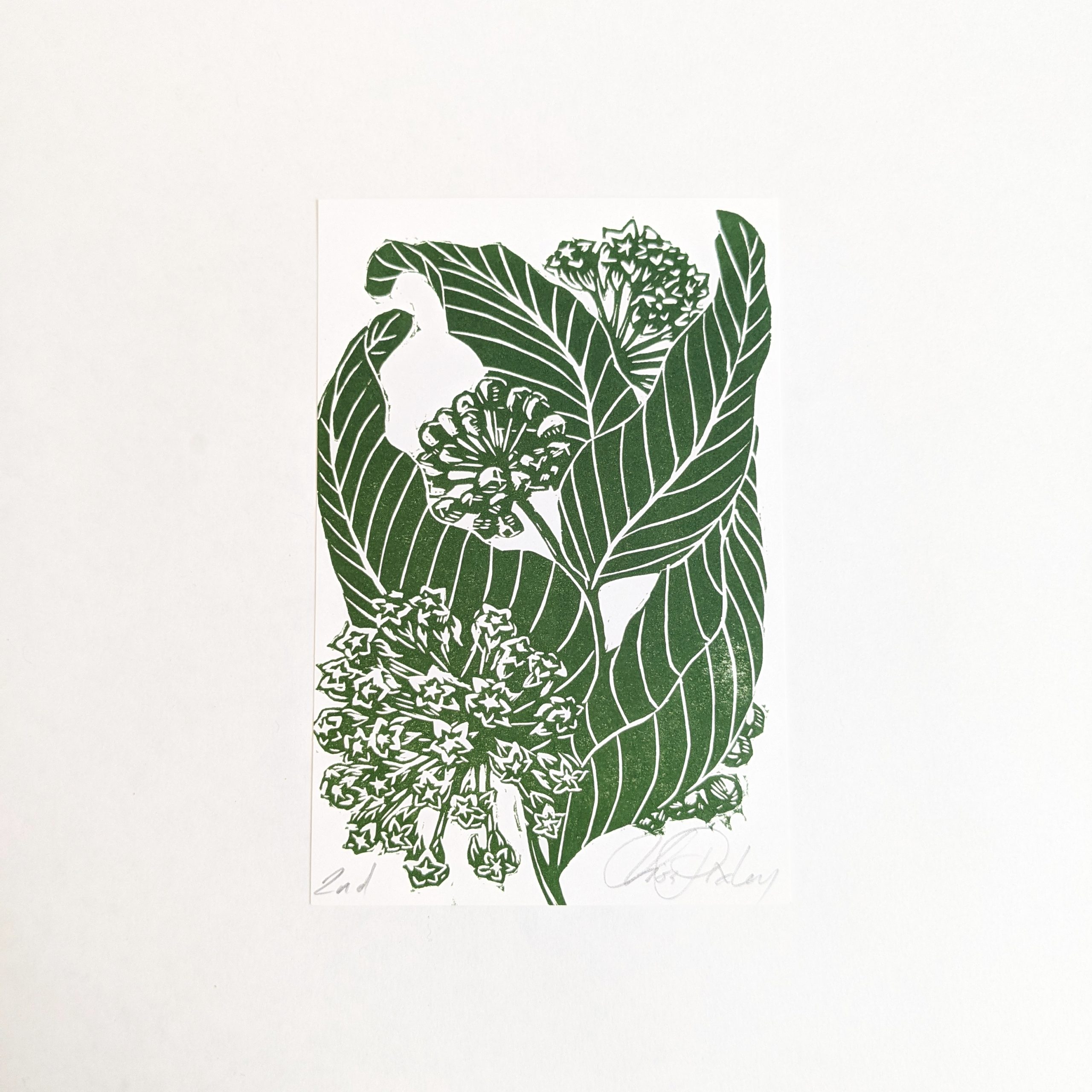 Original Block Print Card – Milkweed | Lisa Pixley