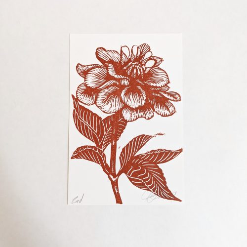 Original Block Print Card – Dahlia | Lisa Pixley